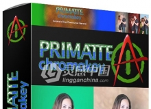 PS抠图滤镜Digital Anarchy Primatte V5.1.2中文汉化版 支持PS CC 2019