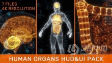 视频素材 3D人体器官线X射线大脑心肺肝脏肠胃全身HUD UI粒子动画医疗视频素材下载