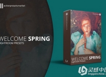 最受欢迎的欧美风色调Lightroom预设 Welcome Spring Lightroom Presets