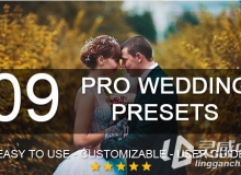 9套专业婚礼Lightroom预设 9 Pro Wedding Presets