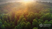 实拍视频素材-清晨空中俯瞰着茂盛的山区绿林日出实拍视频素材