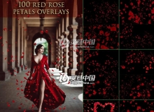 100张高清玫瑰花瓣叠加合成前景素材 100 Red Rose Petals Overlays