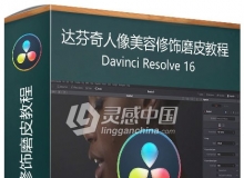 达芬奇DaVinci Resolve人像美容修饰磨皮视频教程