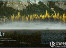 Adobe Lightroom CC 6.1 最新中文版（Win/MacOSX）