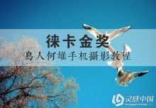 徕卡金奖—鸟人何雄手机摄影视频教程
