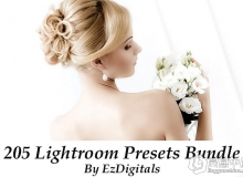 205婚礼婚纱新生儿Lightroom预设合集 205 Lightroom Presets Bundle