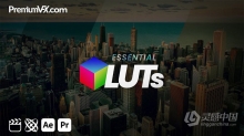 75组基本常用时尚电影Vlog视频调色滤镜AE/PR/FCPX插件 PremiumVFX – Essential LUTs