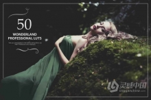 50个奇妙仙境效果LUT创建照片视频童话般美丽奇境电影色调 50 Wonderland LUTs