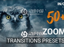 50种高质量独特冲击缩放过渡转场预设PR预设