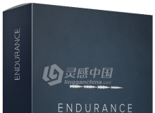 低音节奏感紧张气氛渲染无损音效 Endurance