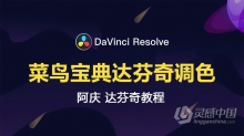 达芬奇教程 阿庆达芬奇DaVinci Resolve菜鸟宝典达芬奇调色中文教程