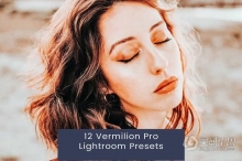 Instagram电影胶片人像Lightroom预设 12 Vermilion Pro Lightroom Presets