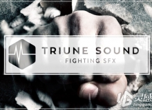 电影真实武打搏斗动作音效合集 Triune Sound- Fighting SFX Pack