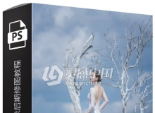 菲林婚纱裙摆环境人像后期修图中文视频教程