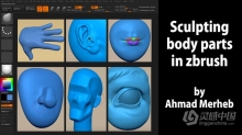 Zbrush人物脸部五官雕刻实例制作视频教程 中文字幕