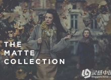 磨砂收集Lightroom预设The Matte Collection Lightroom