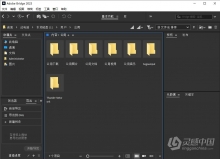 Adobe Bridge 2023 v13.0.0.562（10月版）Br 2023 Win版本下载