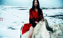 柔七私教摄影后期修图教程