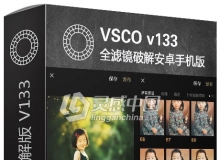 网红文艺小清新VSCO v133全滤镜无限制破解版 中文安卓手机版