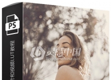 Phlearn Pro-如何创建掌握编辑自己的照片和视频LUT视频教程