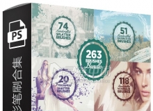 263款PS水墨水彩笔刷合集 263 Photoshop Brushes Bundle