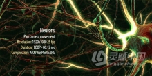 神经元网络树突大脑思维生物医学教育解释性视频素材 videohive Neurons