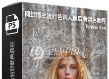 Tahmid Xim-Instagram风格网红博主流行色调人像后期调色视频教程