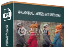 俄罗斯摄影师春秋季唯美儿童摄影后期调色视频教程
