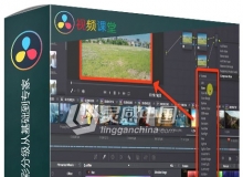 DaVinci Resolve 15达芬奇色彩分级从基础到专家视频教程