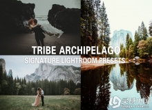 Tribe Archipelag 3套电影胶片lightroom预设 价值225美元