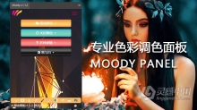 MOODY PANEL V1.1.2 PS专业色彩调色面板 支持最新版PS CC 2019