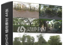 C4D材质 Octane 8K的HDR 植物素材 44张