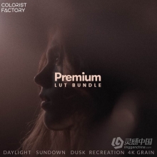 适合阳光日落黄昏和室内不同类别的专业级LUTs调色CUBE预设 Colorist Factory – Premium Lut Bundle & 4k G