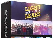 50个浪漫唯美柔和漂亮耀斑光效闪烁动画视频素材合集 Light Leaks