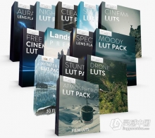 13套时尚电影胶片LUT预设和4K镜头光晕豪华套装合集 The Complete Bundle – 4K Lens Flares & Film LUTs