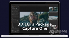 飞思调色LUT预设-3D LUTs Package For Capture One v3.3.1 WIN+Mac版本