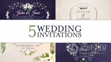 AE模板-5个美丽的花卉婚礼请柬动画电子邀请函AE模板下载 Wedding Invitation