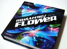 LGC21 浪漫花纹ROMANTIC FLOWER 最新矢量花纹素材图库图库 10DVD