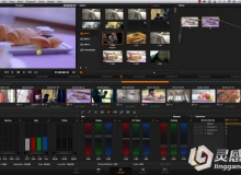 Davinci Resolve达芬奇颜色分级解析视频教程Easy Color Grading Course with Davin...