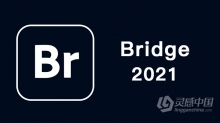 Adobe Bridge 2021 v11.0 Mac BR 2021中英文破解版下载