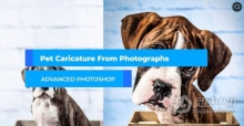 PS创建宠物可爱漫画视频教程 Create Your Pet Caricature From Photographs in Photoshop