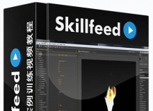 AE影视后期实例训练视频教程 Skillfeed After Effects Tricks