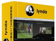 Premiere Pro CC 2015基础入门训练视频教程Getting Started with Premiere Pro CC ...