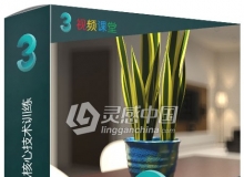 3dsMax中3D摄像机核心技术训练视频教程