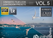 电影胶片Lr预设第五卷 30 Cinematic Film Look Lightroom Presets VOL.5