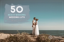 50个海滩婚礼LUT调色预设 50 Beach Wedding LUTs Pack
