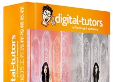 Lightroom高级编辑技巧工作流程视频教程Digital-Tutors Advanced Editing Workflow...