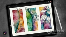 绘画教程 Procreate绘制水彩晕染效果负片高级技巧数字绘画视频教程