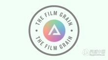 复古胶片颗粒照片摄影调色Lightroom预设PS动作 The Archetype Process – The Film Grain