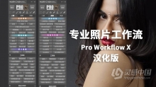 PS专业照片工作流中文插件Style My Pic Pro Workflow X汉化版PS插件 支持PS 2021